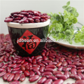 Hot sale quality Natural Brown English red kidney bean with Best qualtiy